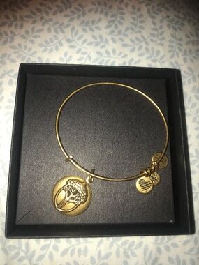 Alex + Ani Charm Bracelet